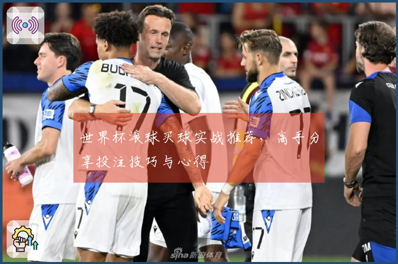 世界杯滚球买球实战推荐，高手分享投注技巧与心得