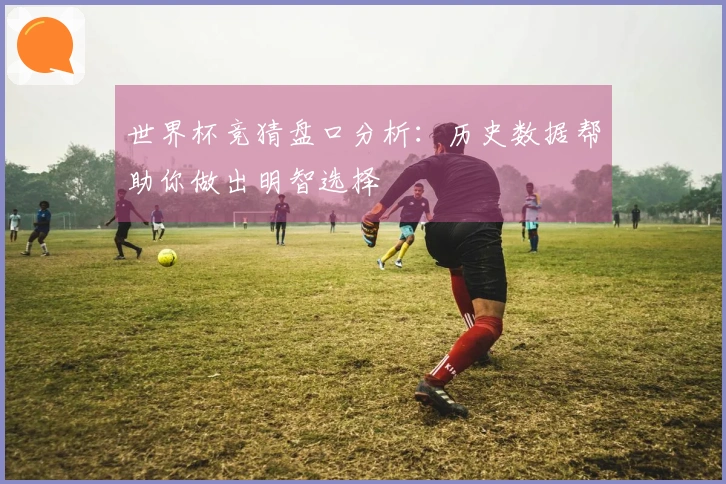 世界杯竞猜盘口分析：历史数据帮助你做出明智选择