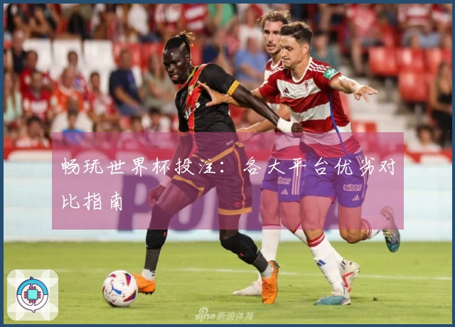 畅玩世界杯投注：各大平台优劣对比指南