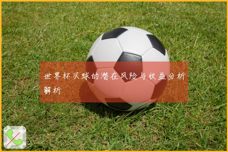 世界杯买球的潜在风险与收益分析解析