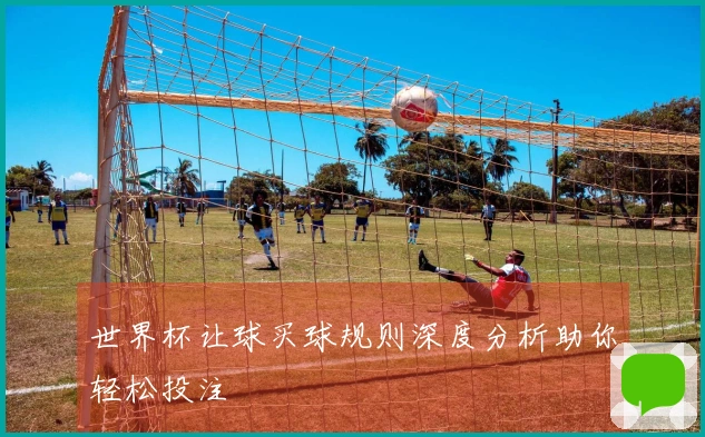 世界杯让球买球规则深度分析助你轻松投注