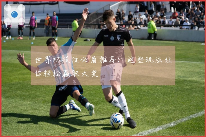 世界杯投注必看推荐：这些玩法让你轻松赢取大奖