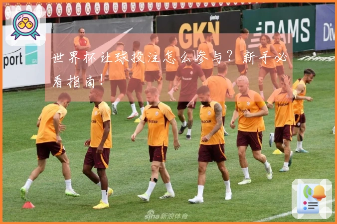 世界杯让球投注怎么参与？新手必看指南！