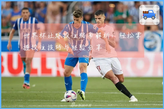 世界杯让球投注赔率解析，轻松掌握投注技巧与经验分享