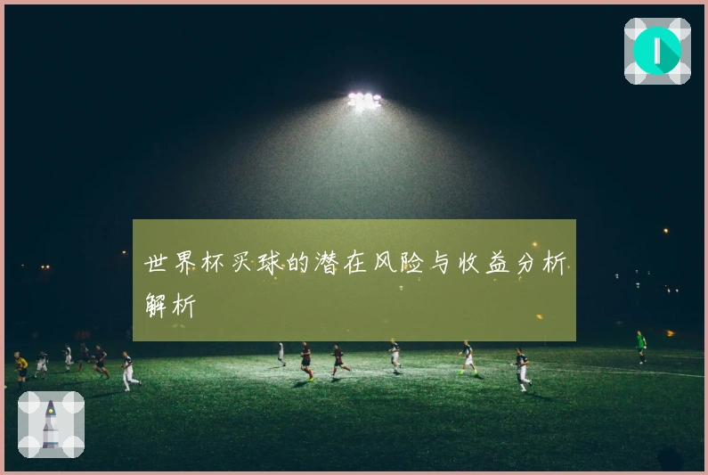 世界杯买球的潜在风险与收益分析解析