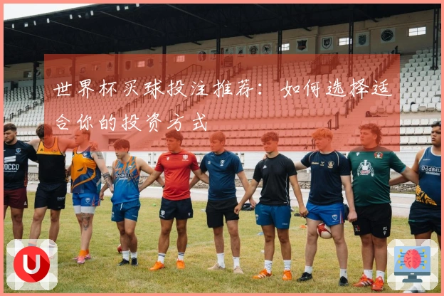 世界杯买球投注推荐：如何选择适合你的投资方式