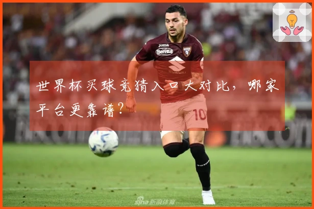 世界杯买球竞猜入口大对比，哪家平台更靠谱？